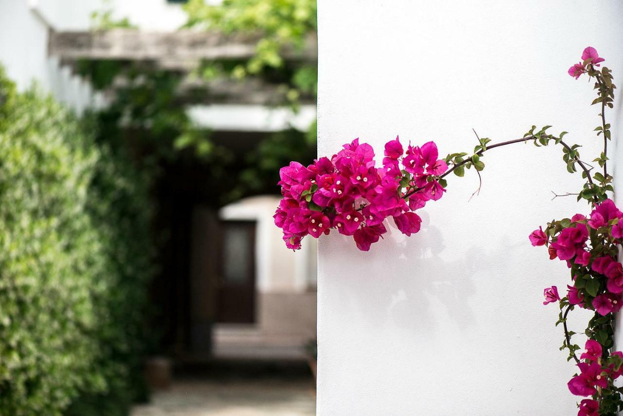 Coliving Add Livitum Hotel ซิวตาเดญา ภายนอก รูปภาพ